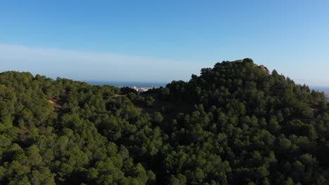 Vuelo-Aéreo-Sobre-Un-Bosque-De-Pinos-Descubriendo-La-Ciudad-De-Málaga-España-Azul